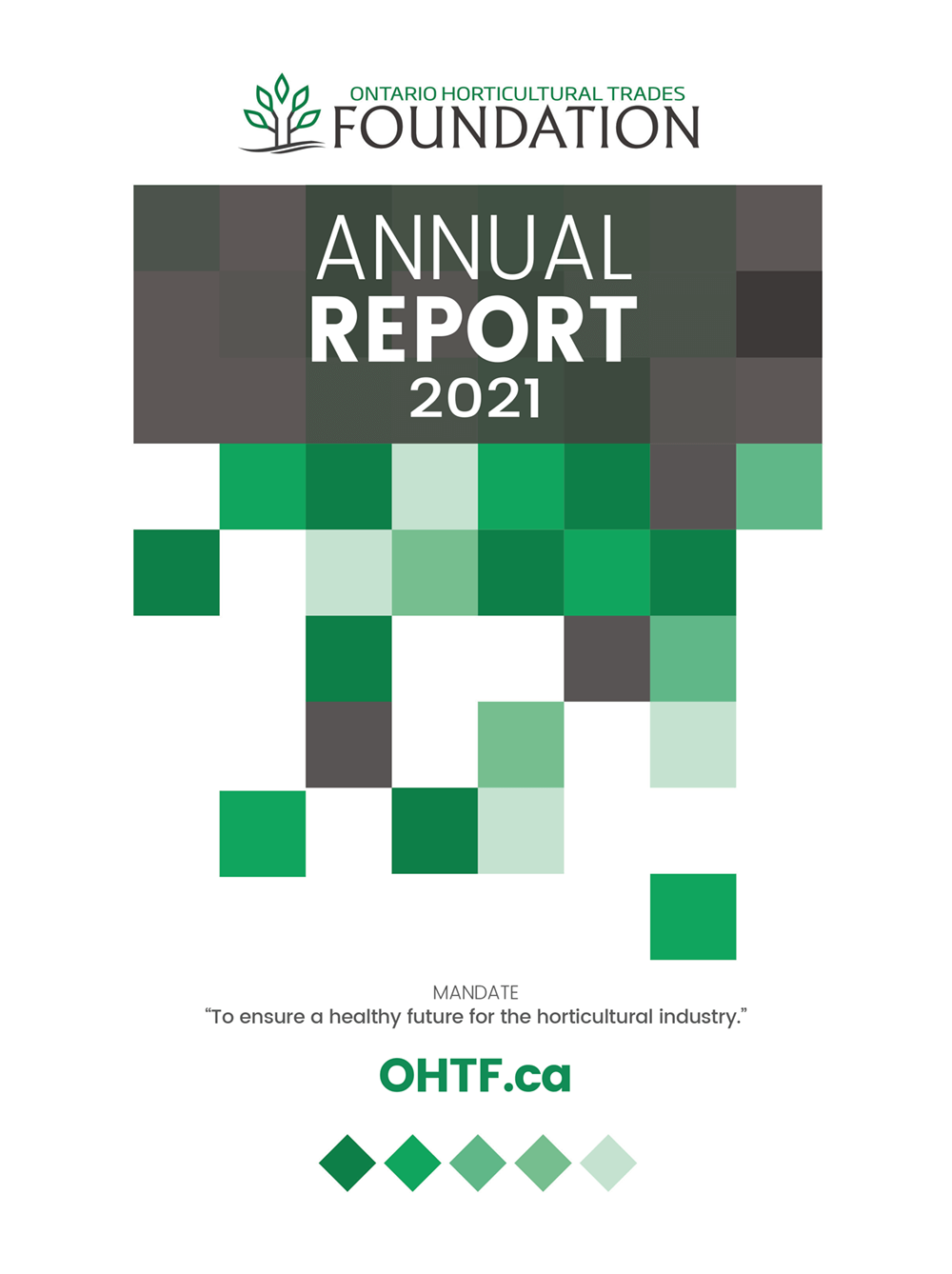 2021 foundation report cover